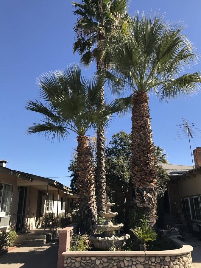 Elsinore Hotsprings Motel Lake Elsinore Exterior photo